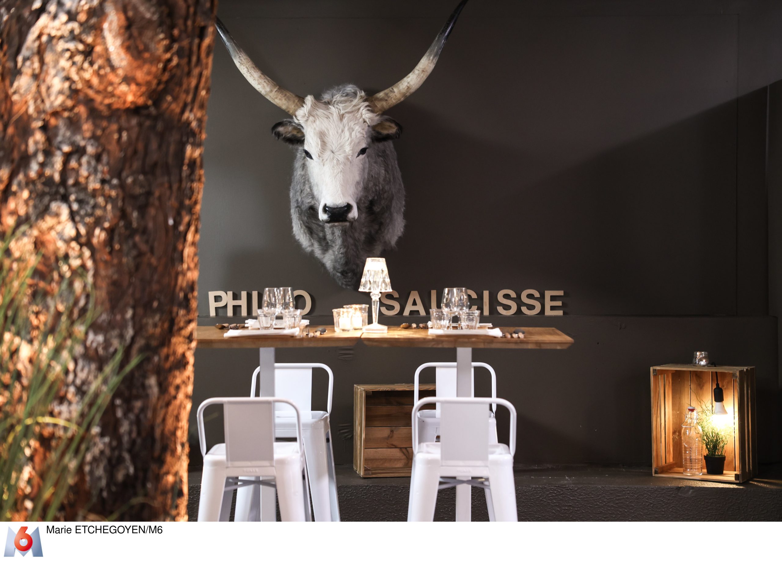 une tête de taureau accroché au mur avec des tables et des chaises en dessous et l'inscription philo saucisse : restaurant de Top Chef