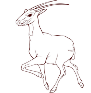 Le saola ressemble à une antilope