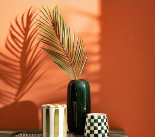 plante en pot (palmier) sur fond orange et sur un meuble avec deux autres pots quadrillés et à rayures