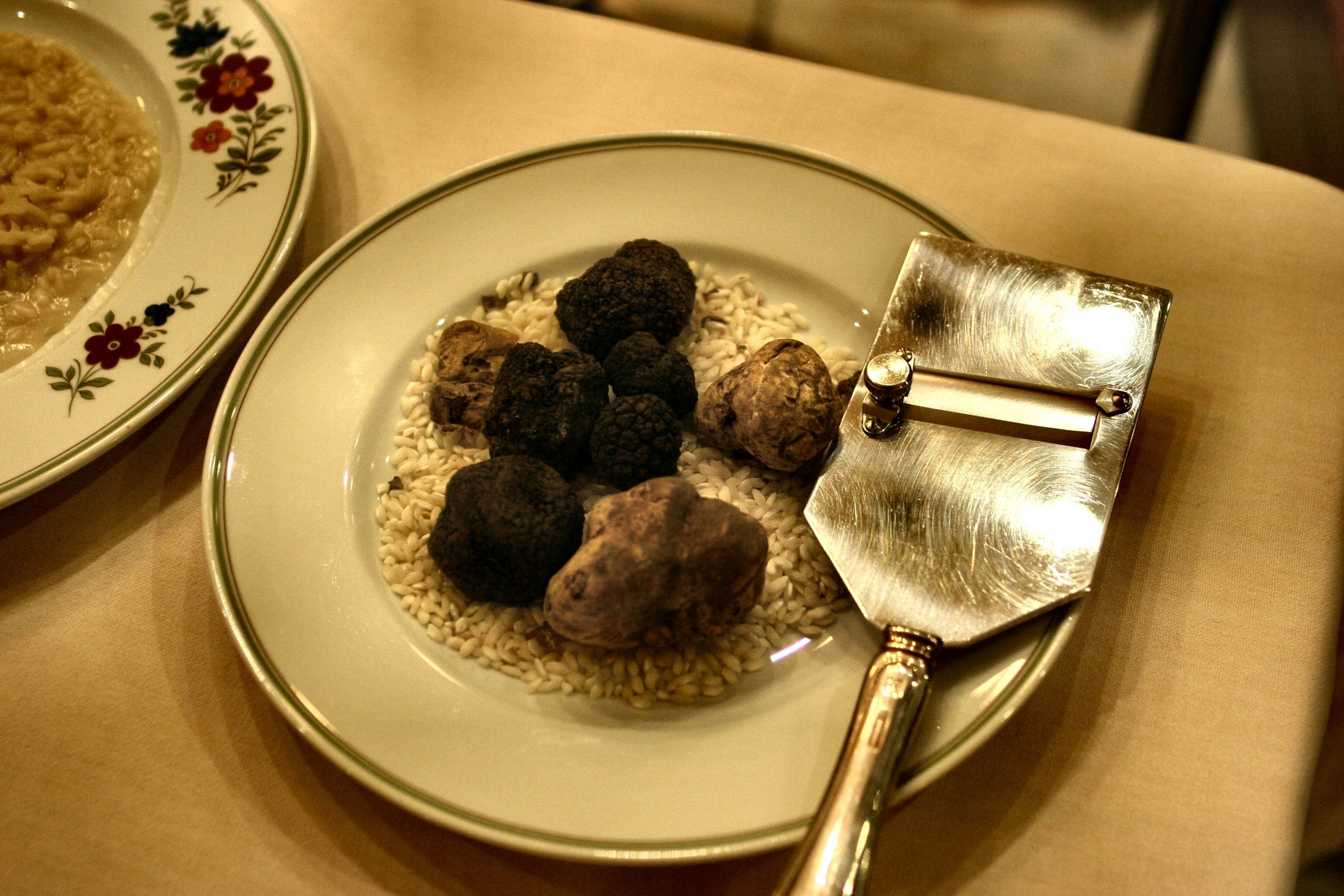 Pâte de truffes d'été 73%, aromatisée - 50g