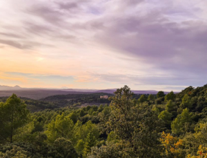 provence mira luna