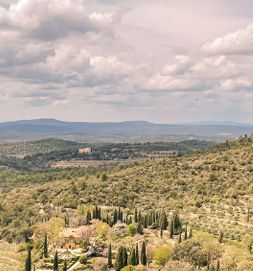 provence mira luna