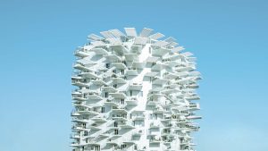 l'arbre blanc