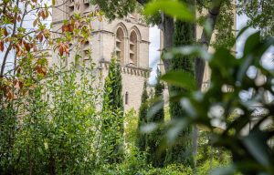 le petit jardin