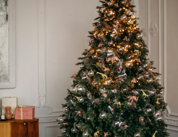 Noel idées cadeaux