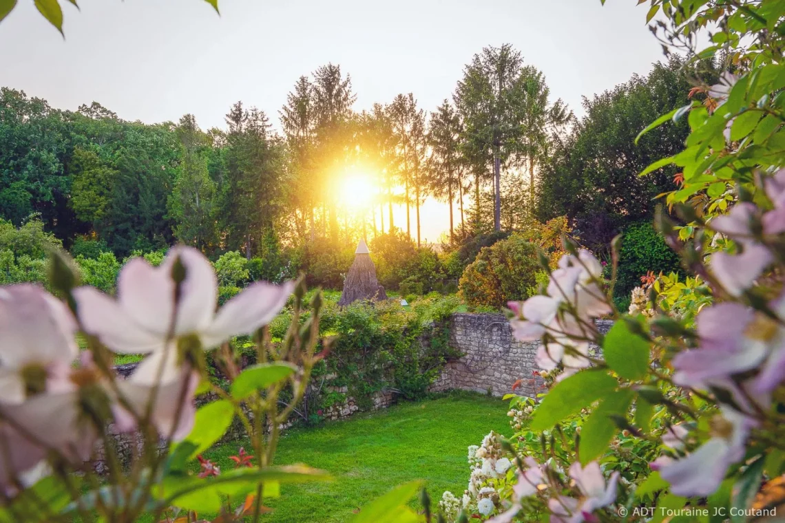 jardin avec coucher de soleil