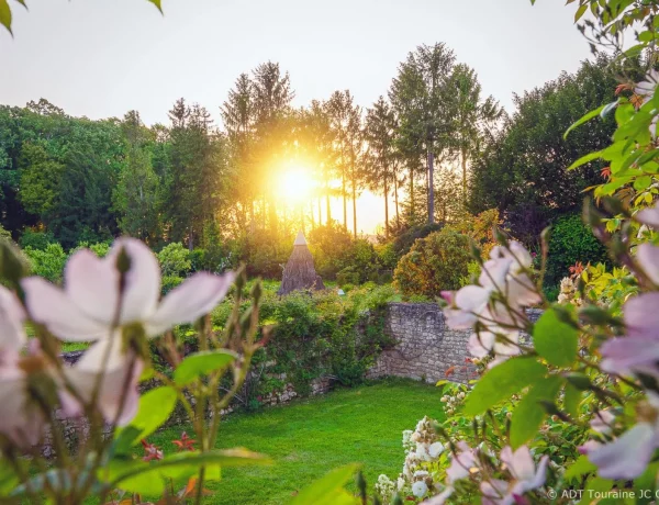jardin avec coucher de soleil