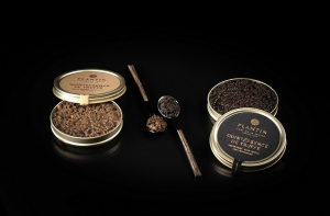 Deux cuillières de la Quintessence de truffes signée PLANTIN