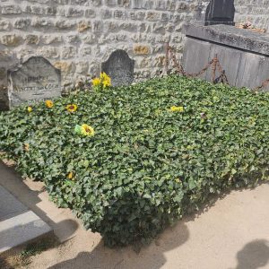 Tombe des Van Gogh