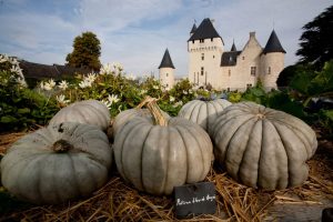 Courges du Château