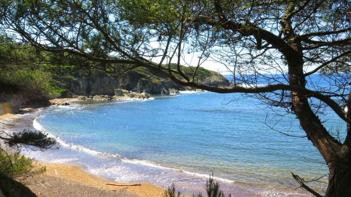 À 15 minutes de bateau, cette île du Var est un petit paradis sans voitures