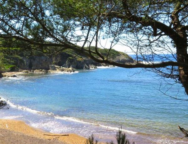 À 15 minutes de bateau, cette île du Var est un petit paradis sans voitures