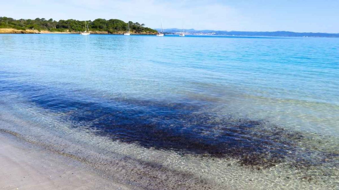 À 10 minutes du Var, cette île française cache 51 km de sentiers et des criques turquoise
