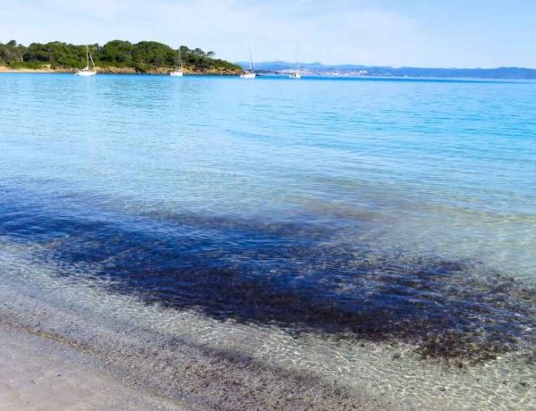 À 10 minutes du Var, cette île française cache 51 km de sentiers et des criques turquoise