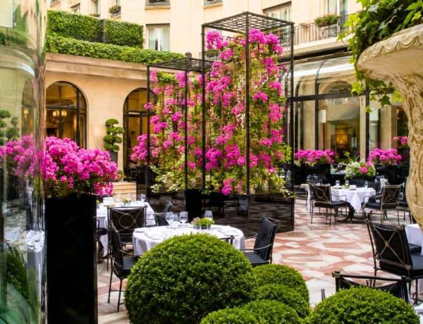 Bertrand Noeureuil prend les commandes de L'Orangerie au George V à Paris
